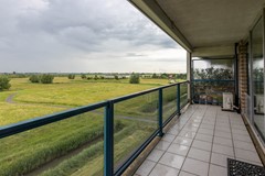 _MG_9384.jpg