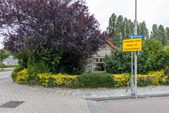 _MG_9413.jpg
