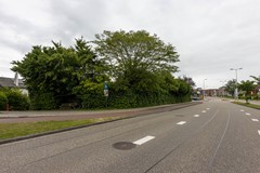 _MG_9416.jpg