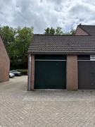 IMG_7856.jpeg