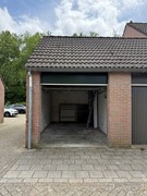 IMG_7861.jpeg