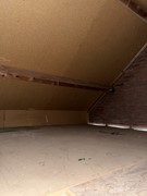 IMG_7867.jpeg