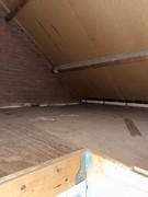 IMG_7868.jpeg