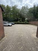 IMG_7859.jpeg