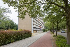 _MG_9701.jpg