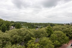 _MG_9693.jpg