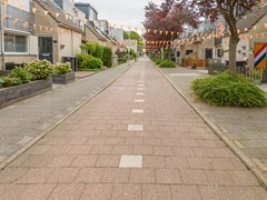 Haya van Someren-Downerpad 15-3.jpg