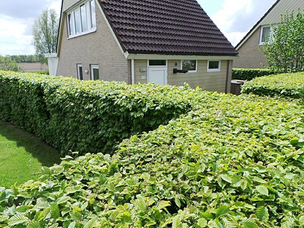 Medium property photo - De Vennen 198, 9541 LE Vlagtwedde