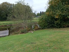 IMG_20251008_132804.jpg