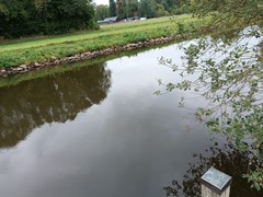 IMG_20251008_132833.jpg