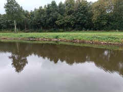 IMG_20251008_132836.jpg