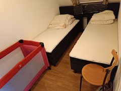 IMG_20251009_145627.jpg