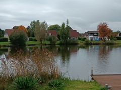IMG_20251008_133422.jpg