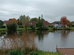 IMG_20251008_133426.jpg