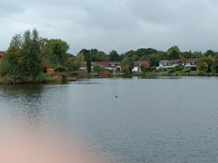 IMG_20251008_133454.jpg