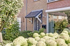 05_FIJNAART_4793_CR_Hazebrouckstraat_17.JPG
