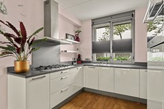 16_FIJNAART_4793_KE_Sterappel_26.JPG