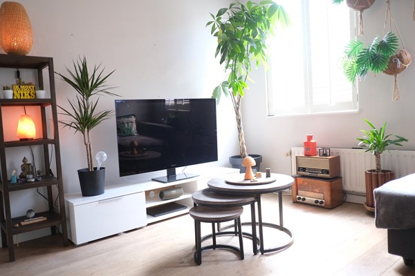 Medium property photo - Lange Lombardstraat 80, 2512 VP Den Haag