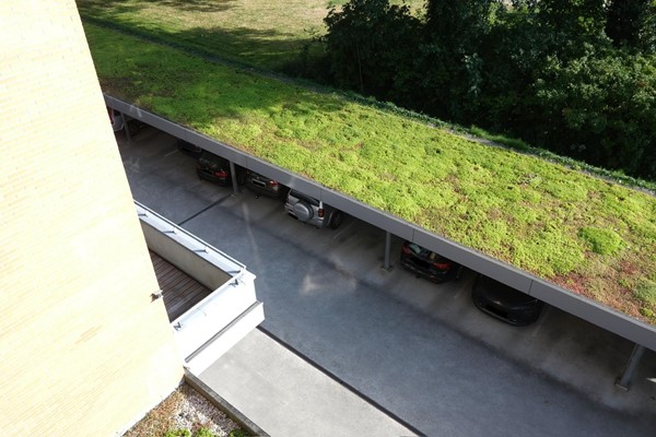 Foto - Te koop: Dokter van Ledestraat 50, 2265 BP Leidschendam