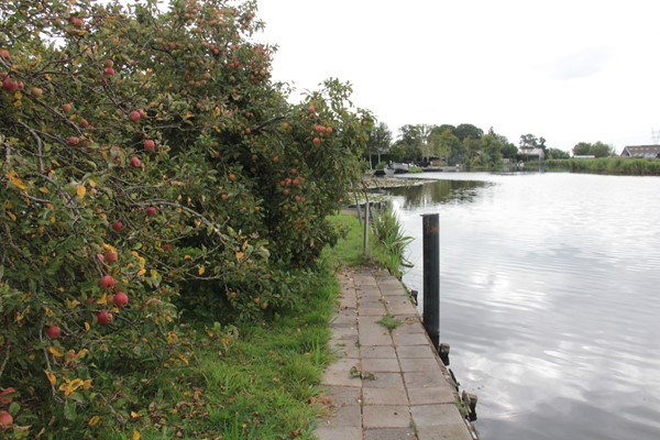 Medium property photo - Monnickendammerrijweg 51, 1452 PN Ilpendam