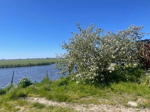 Foto - Te koop: Monnickendammerrijweg 51, 1452 PN Ilpendam