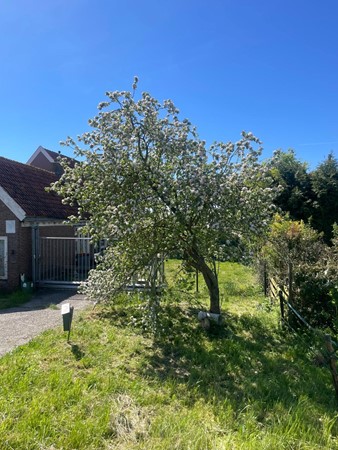 Foto - Te koop: Monnickendammerrijweg 51, 1452 PN Ilpendam