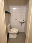 3a. toilet.jpg