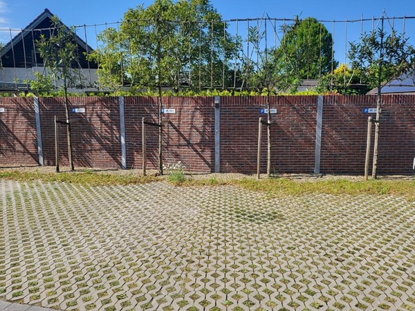 40. parkeerplaatsen.jpg 40