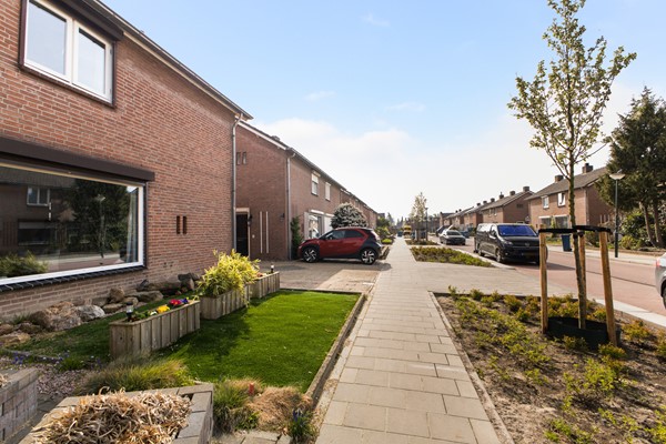 5.  Piet Heinstraat 25_02.jpg 3