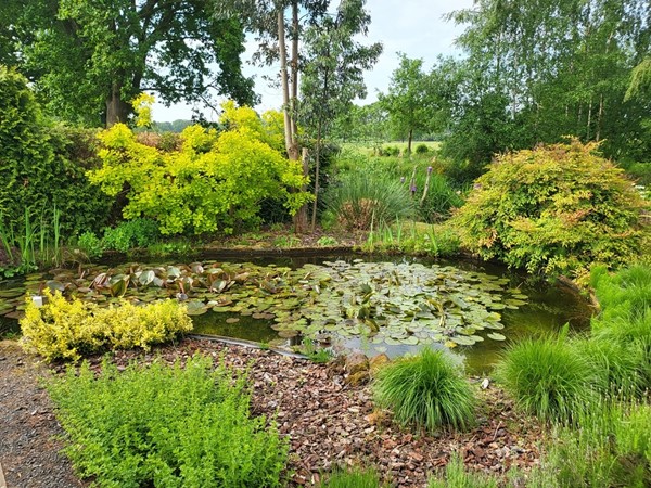 40. tuin 8.jpg 41