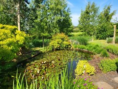 41. tuin 9.jpg