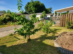 3a. tuin voor 1.jpg