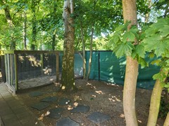 25. tuin achter 2.jpg