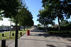 IMG_7781.JPG