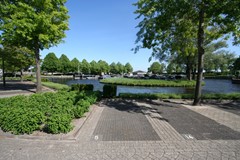 IMG_4420.JPG