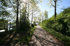 IMG_4346.JPG