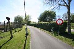 IMG_4348.JPG