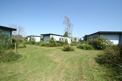 IMG_4942.JPG