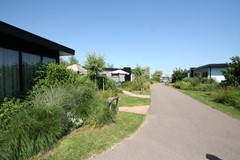 IMG_4945.JPG