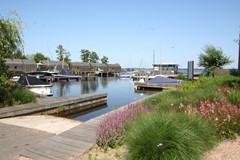 IMG_4950.JPG