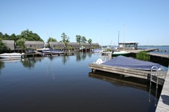 IMG_4952.JPG