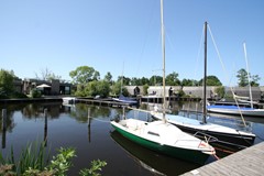 IMG_4956.JPG