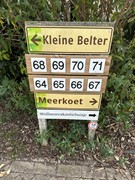 IMG_0873.jpg