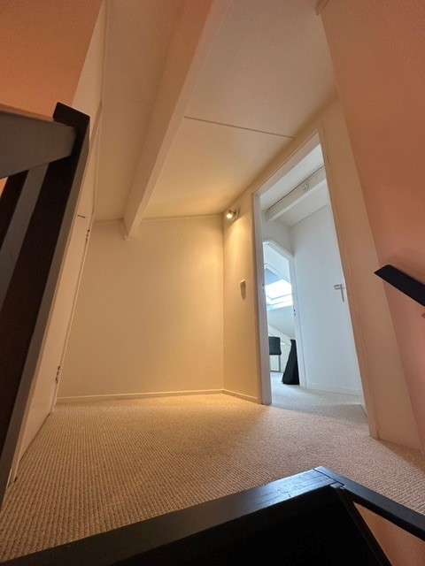 IMG_4177.jpeg