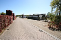 IMG_5761.JPG