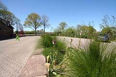 IMG_5768.JPG