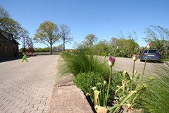 IMG_5769.JPG