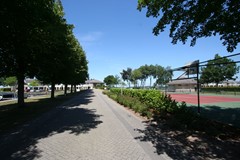 IMG_7643.JPG