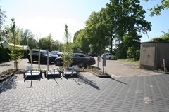 IMG_5939.JPG