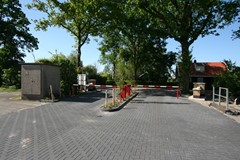 IMG_5940.JPG